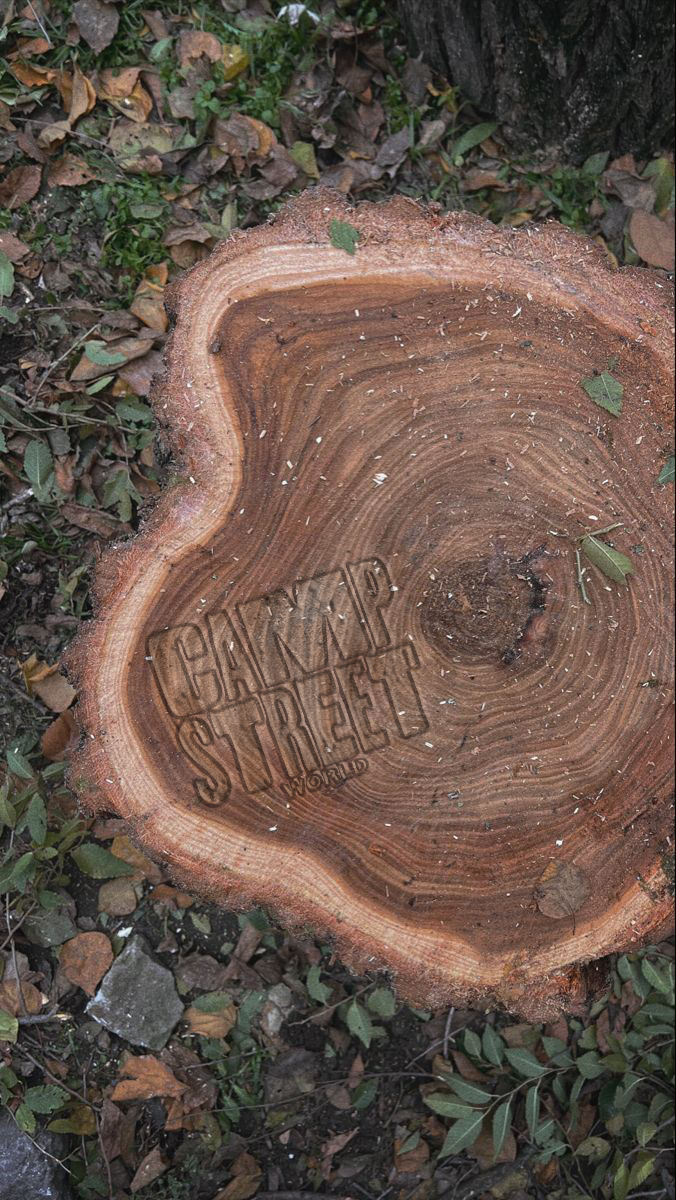 Camp Street World Hints CSW003: Good Ol' Rhythm & Practicality